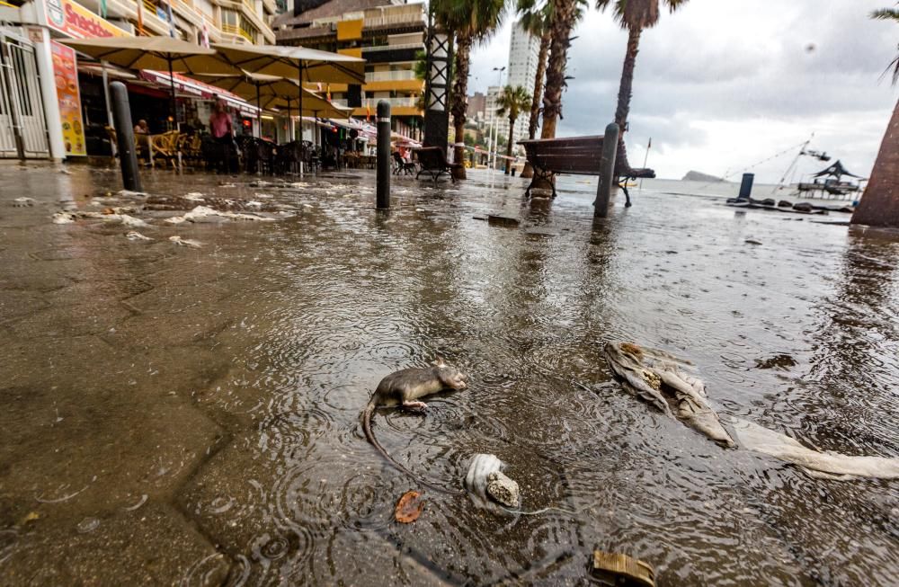 Tromba de agua en Benidorm