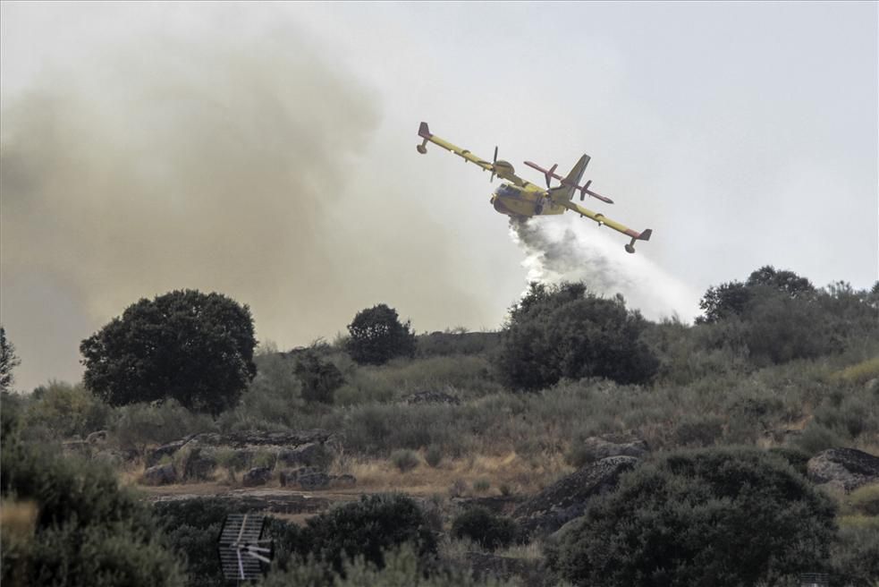 Incendio forestal en Cáceres