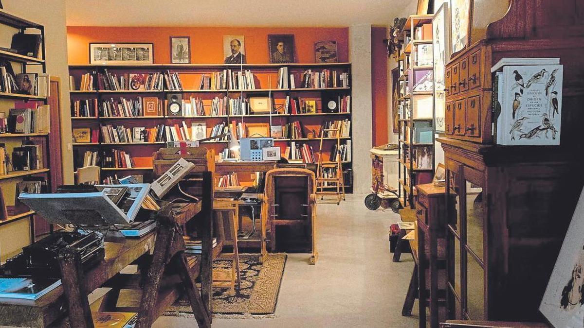 Interior de la librería Darwin, en la localidad malagueña de Canillas de Aceituno.