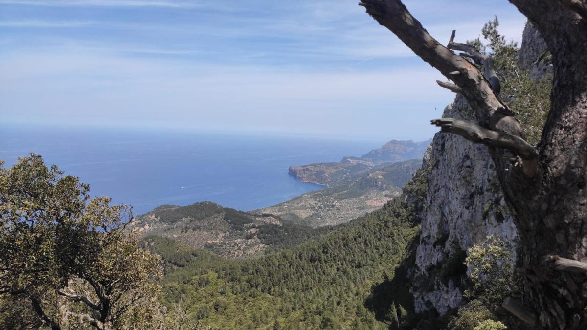 In den nächsten Tagen gibt es auf Mallorca weiterhin Hitze und strahlenden Sonnenschein. Hier ein Ausblick aus dem Wanderpfad Camí de s&#039;Arxiduc.