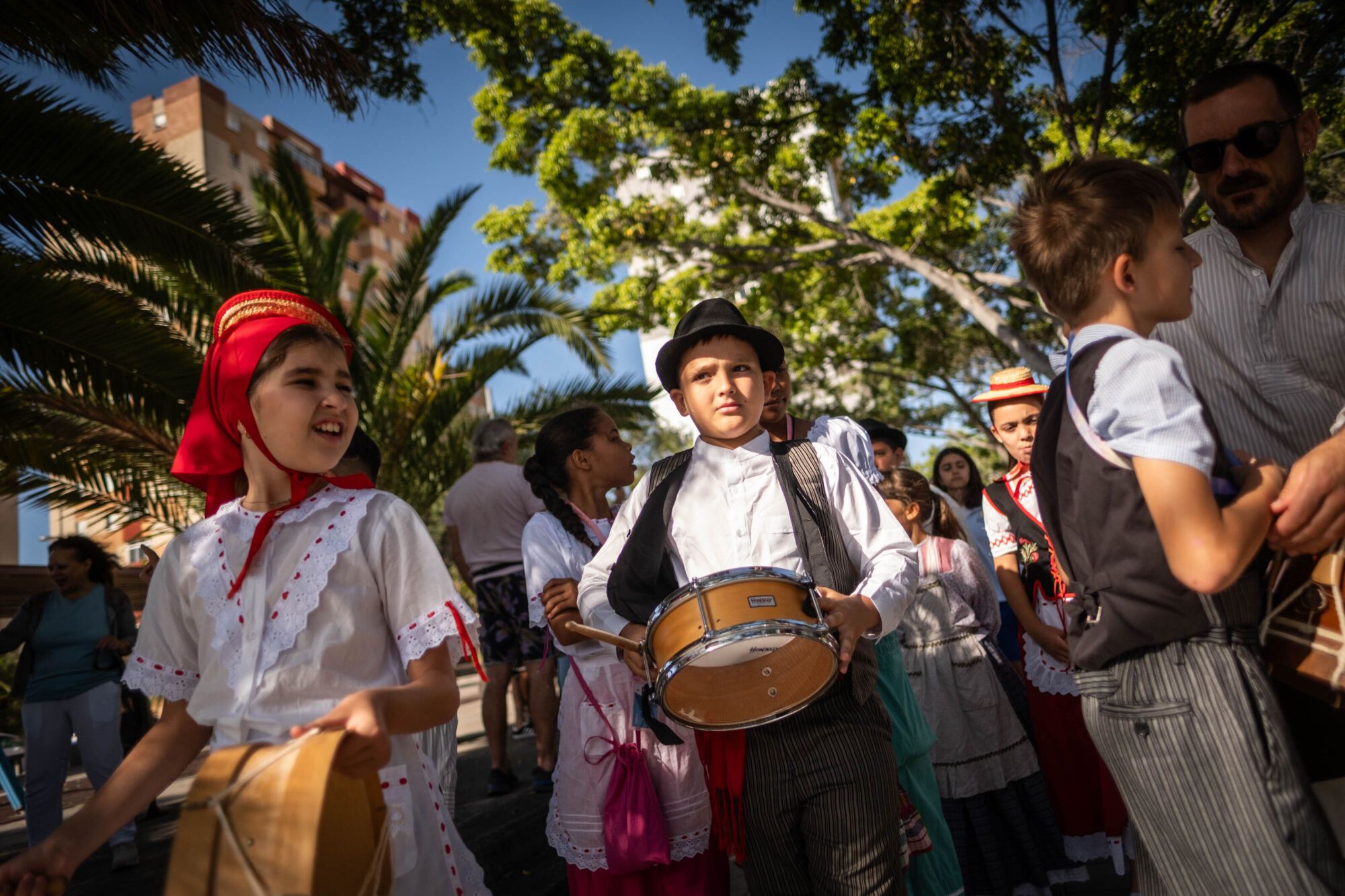 Paseo Romero del CEIP Los Dragos en Santa Cruz de Tenerife.
