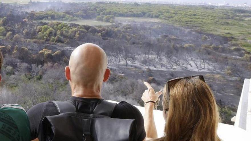 L’incendi del Saler de València es dona per estabilitzat