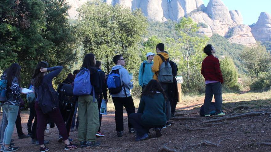 Els estudiants durant la visita a Montserrat