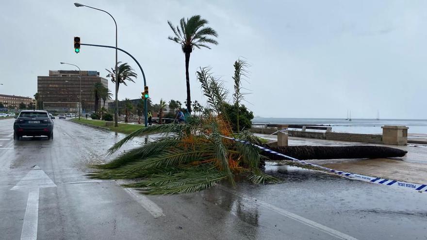 &quot;Auto wie Spielzeug bewegt&quot;: Heftiges Unwetter erreicht schlagartig Mallorca