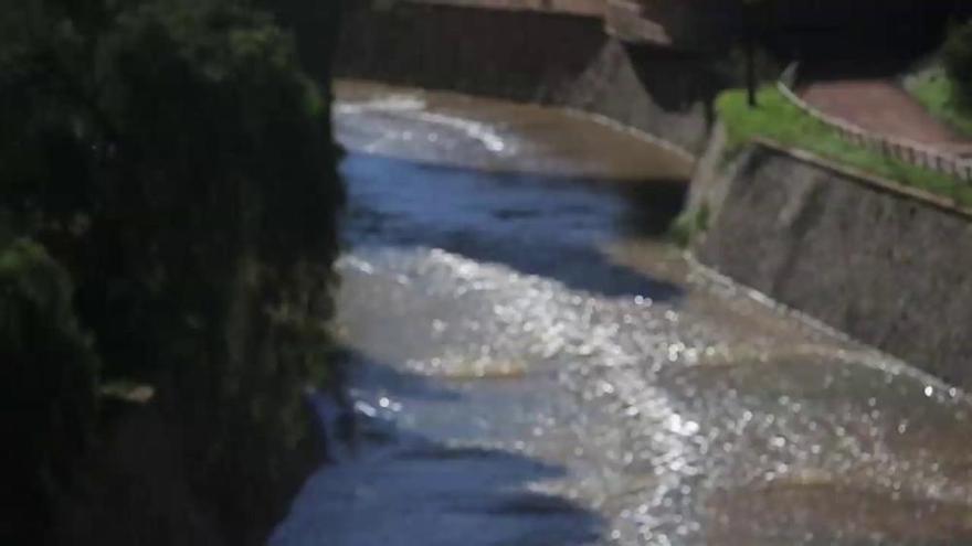 Río Vinalopó a su paso por Elche