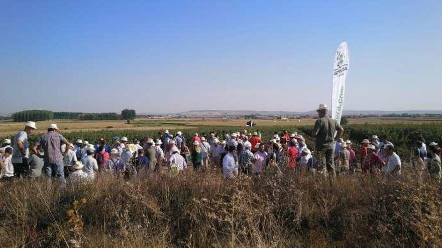 Agricultores participantes en la jornada sobre el almendro en una finca de Moraleja.