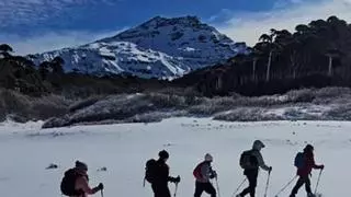 Se buscan voluntarios para vivir en la Patagonia chilena: alojamiento y tres comidas diarias a cambio de 30 horas de trabajo semanales