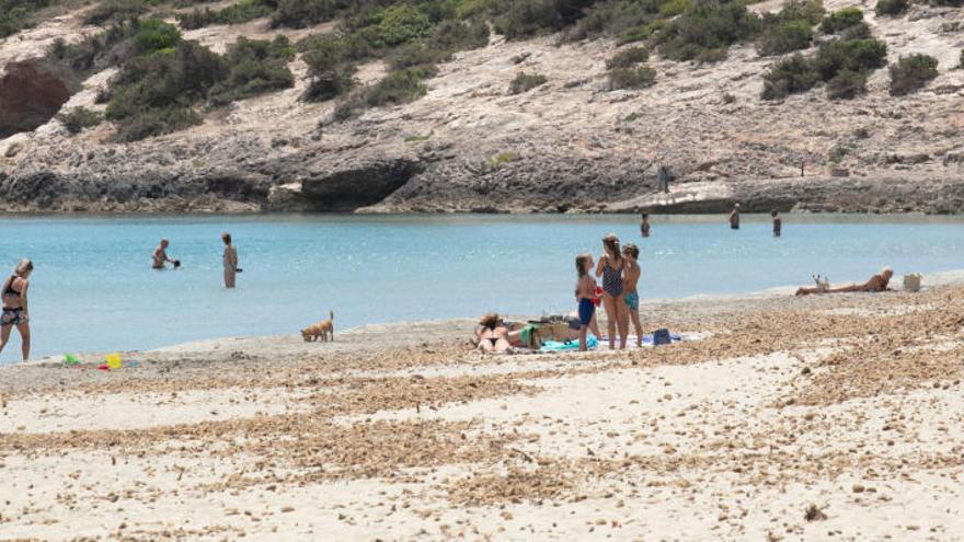 Ibiza entra en la ansiada fase 3. Foto: Vicent Marí