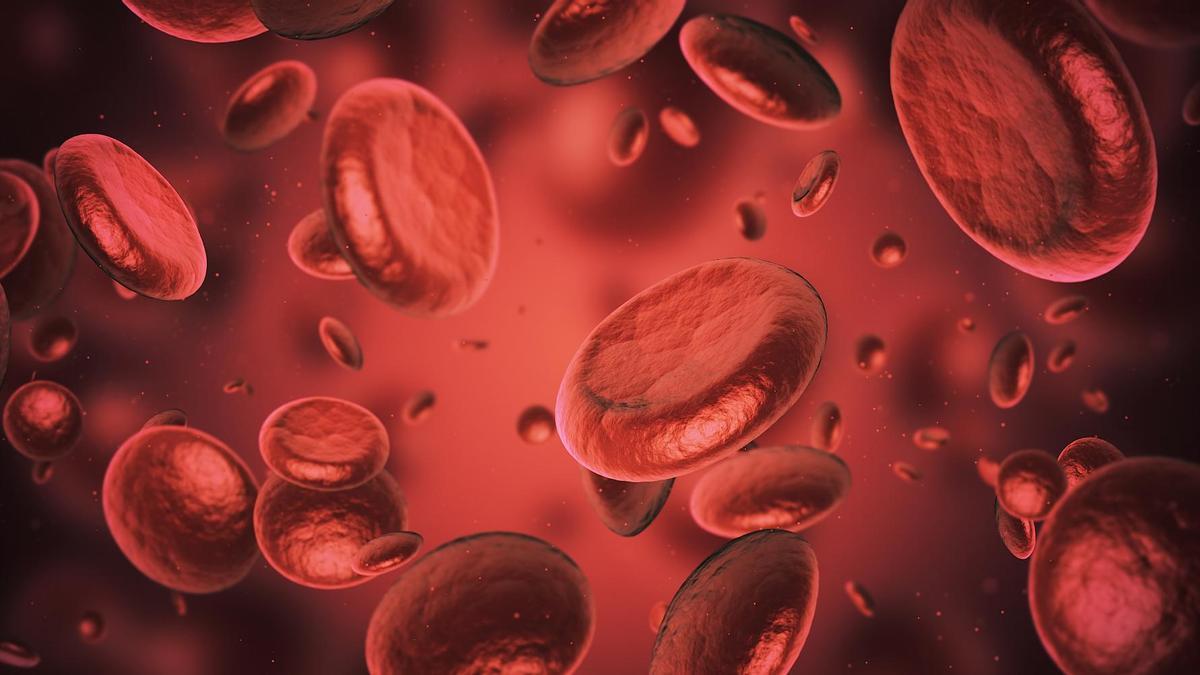 La sangre artificial podría funcionar para todos los tipos de sangre.