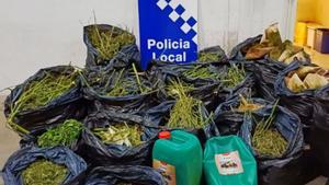 Els lladres de cases canvien al negoci de la marihuana