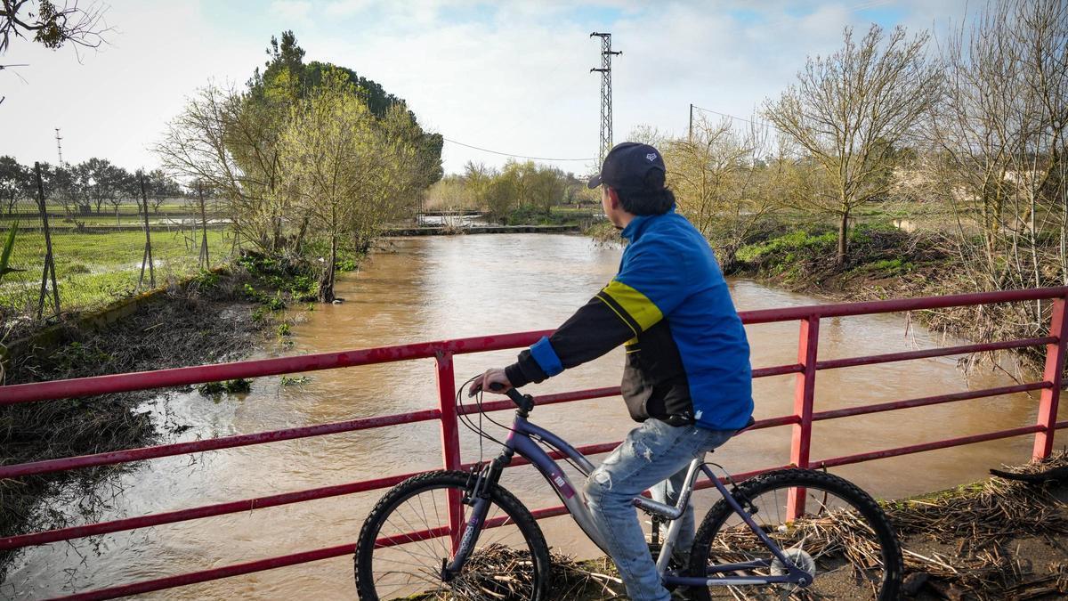 Vídeo | Vecinos de Los Lebratos en Badajoz denuncian la falta de mantenimiento del cauce