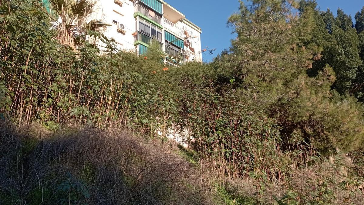 El bloque 'Hogar Rosa' del barrio de Carlinda está construido sobre la antigua Hacienda de Suárez. En blanco, debajo, asoman los únicos restos de la hacienda: el basamento.