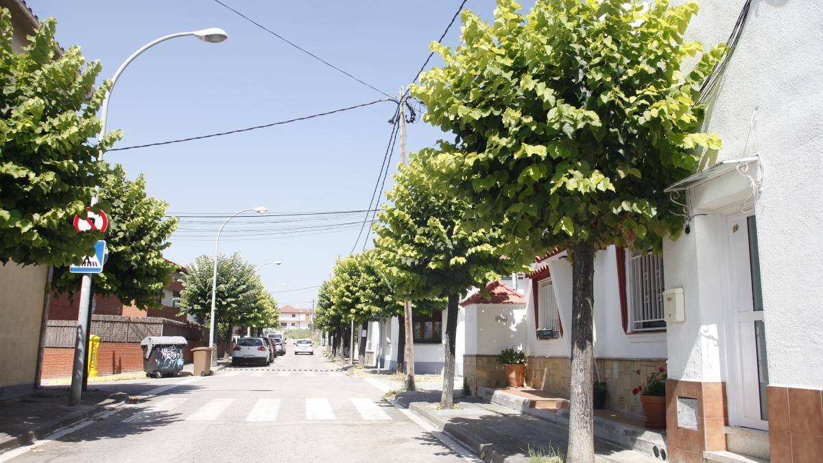 Árboles del Barri Cerdanet - Parets