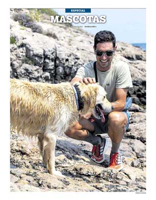 Mascotas