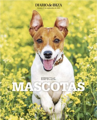 Especial Mascotas