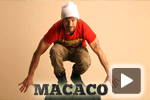 Macaco canta 'Love is the only way'