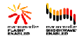 logo Flash