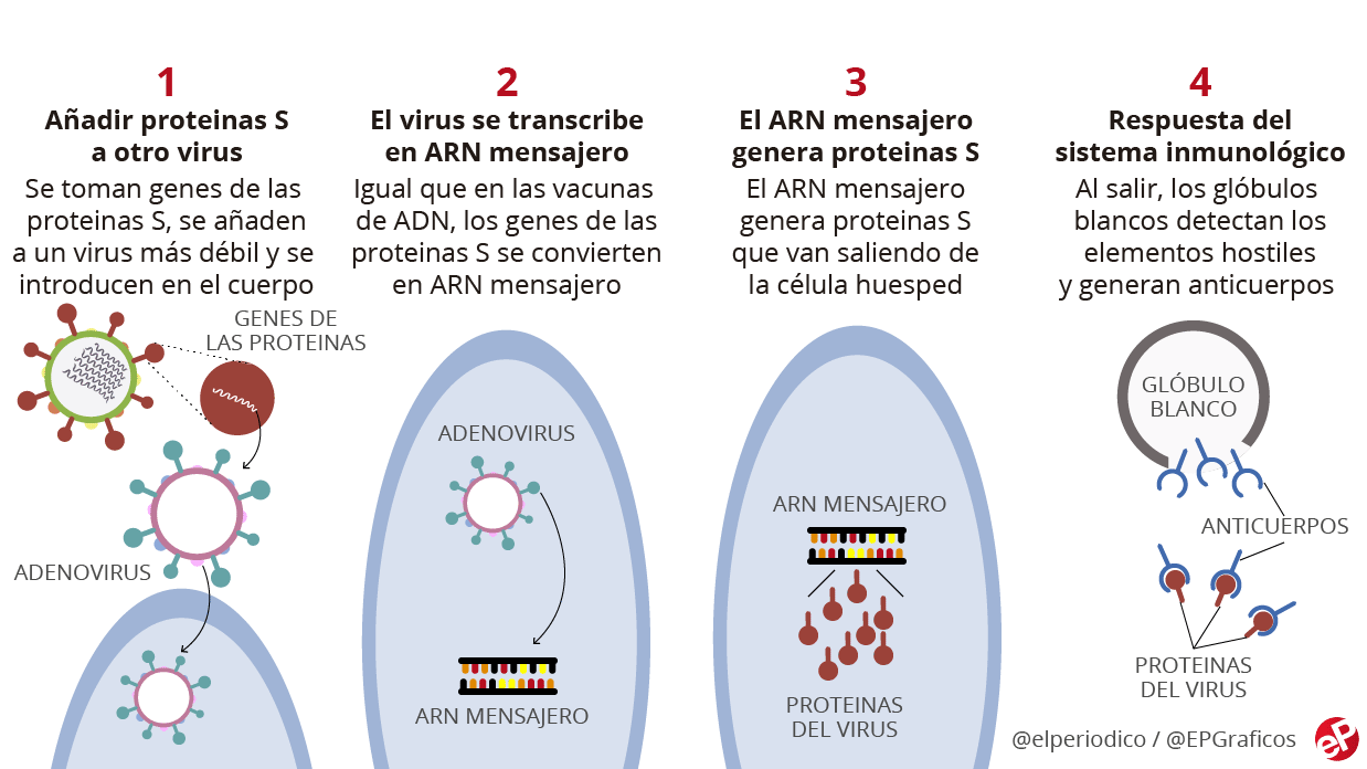 Cuantos días después de tomar progesterona viene la menstruación