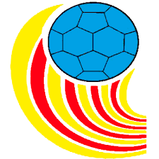 Logo Federación de Balonmano Comunitat Valenciana