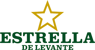 Solo logo