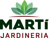 Ofert per