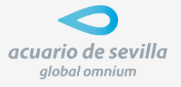 Solo logo