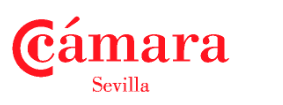 Solo logo