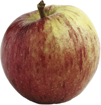 Manzana